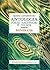Antologia poezji łacińskiej w Polsce. Renesans by Ignacy Lewandowski