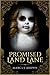 Promised Land Lane (The Promised Land Lane Series Book 1)