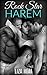 Rock Star Harem by Liza Heat