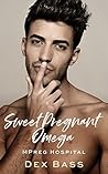 Sweet Pregnant Omega