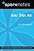 Into Thin Air (SparkNotes Literature Guide)