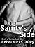 Sanity's Side by Rebel Nicks O'Dey