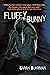 Fluffy Bunny (Runespells, #2)