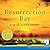 Resurrection Bay (Caleb Zelic, #1)