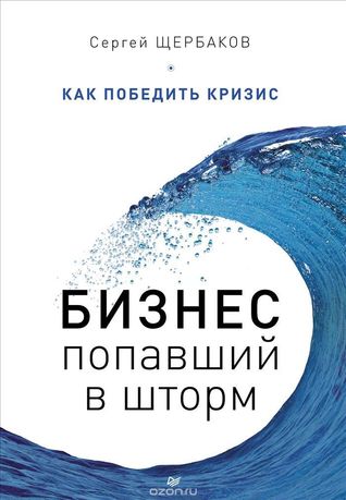 Бизнес, попавший в шторм. Как победить кризис