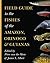 Field Guide to the Fishes of the Amazon, Orinoco, and Guianas (Princeton Field Guides Book 115)