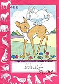 سوزي وأرنبو