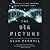 The Big Picture: On the Origins of Life, Meaning, and the Universe Itself