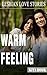Lesbian love stories: Warm feeling (Lesbian romance 2017)