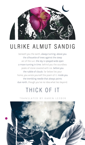 Thick of It (The Seagull Library of German Literature)