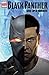 Black Panther: Soul Of A Ma...