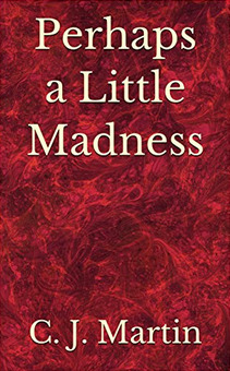 Perhaps a Little Madness (Kindle Edition)