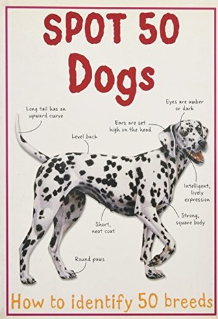 Spot 50 Dogs (Paperback)