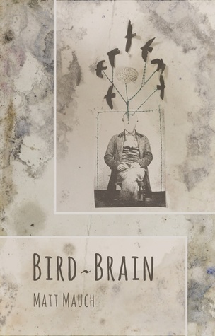 Bird Brain