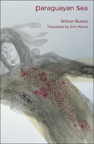 Paraguayan Sea (Paperback)