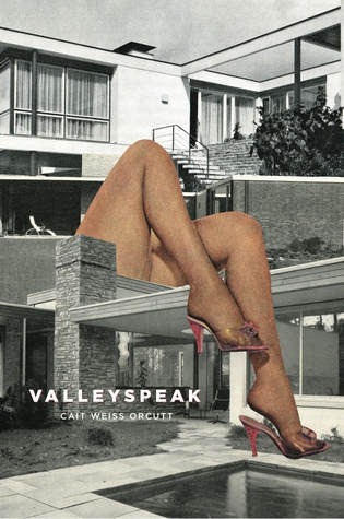 Valleyspeak (Paperback)