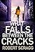 What Falls Between the Crac...