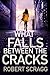 What Falls Between the Cracks
