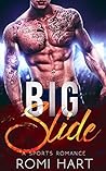 Big Slide by Romi Hart Big Slide by Romi Hart