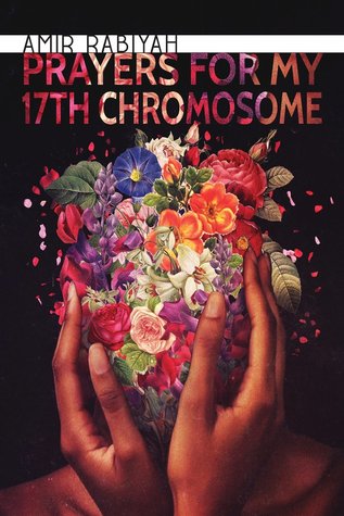 Prayers for My 17th Chromosome (Paperback)