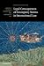 Legal Consequences of Peremptory Norms in International Law