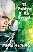 A Bridge in the Forest (FeyTerrah Series #1)
