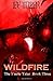 Wildfire (The Faerie Tales,...
