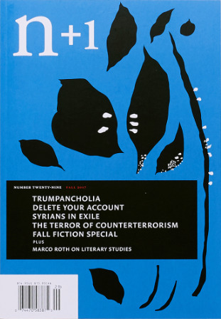 n+1 Issue 29: Bottoms Up (Paperback)