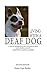 Living With A Deaf Dog - A ...