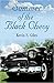 Summer of the Black Chevy