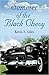 Summer of the Black Chevy