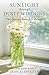 Sunlight Through Dusty Windows by Dorcas Smucker