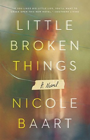 Little Broken Things By Nicole Baart