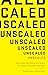 Unscaled: How AI and a New ...