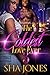 The Coldest Love Ever 3 by Sha Jones