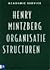 Organisatiestructuren