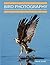 Bird Photography: A Beginner’s Guide to Mastering the Art of Capturing Stunning Images of Birds