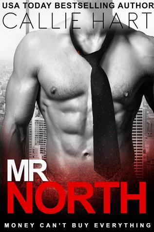 Mr. North (ebook)