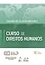 Curso de Direitos Humanos (Portuguese Edition)