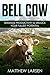 Bell Cow by Matthew Larsen