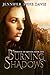 Burning Shadows by Jennifer Anne Davis