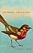 The Robin: The perfect gift for bird lovers (The Bird Biography Series Book 1)