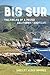 Big Sur by Shelley Alden Brooks