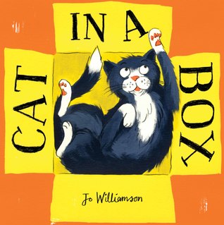 Cat in a box (Paperback)