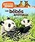 N08 - LES BEBES ANIMAUX NE ...