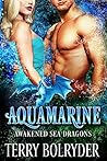 Aquamarine by Terry Bolryder