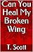 Can You Heal My Broken Wing