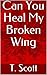 Can You Heal My Broken Wing by T. Scott