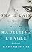 The Small Rain: A Novel (Katherine Forrester Vigneras Series, 1)