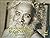 Gurunathara Sannidhiyalli: ...